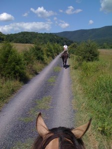Beautiful trail ride