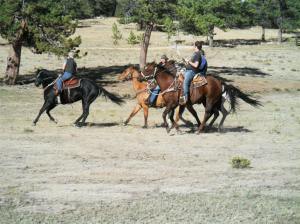 091 playing polocrosse