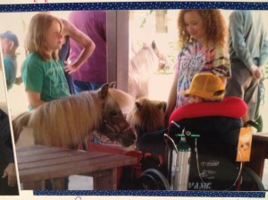 The club members and mini's bring much joy to veteran's hospitals and nursing homes.