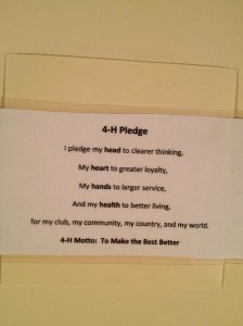 Apple 'n Bits 4-H Horse & Service Club is an exceptional club.