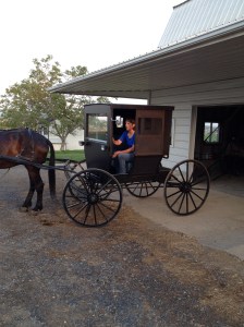 The buggy was clean and orderly on the inside.