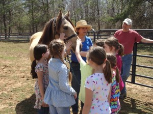 Everyone enjoys being around and experiencing the horses