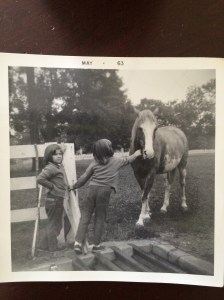 This author cannot tell which of us is which!